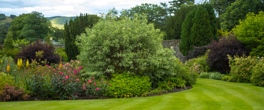 The Best Gardens