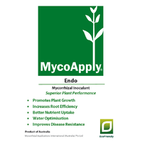 MycoApply Endo